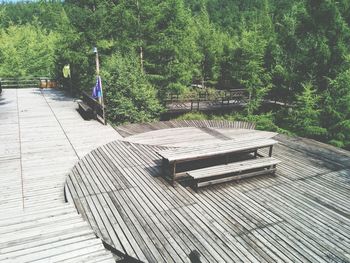 View of tree seat against trees