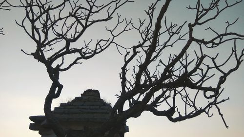 Low angle view of silhouette bare tree against clear sky