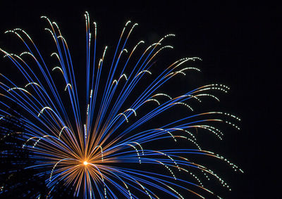 Low angle view of firework display at night