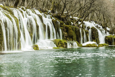 Scenic view of waterfall in forest