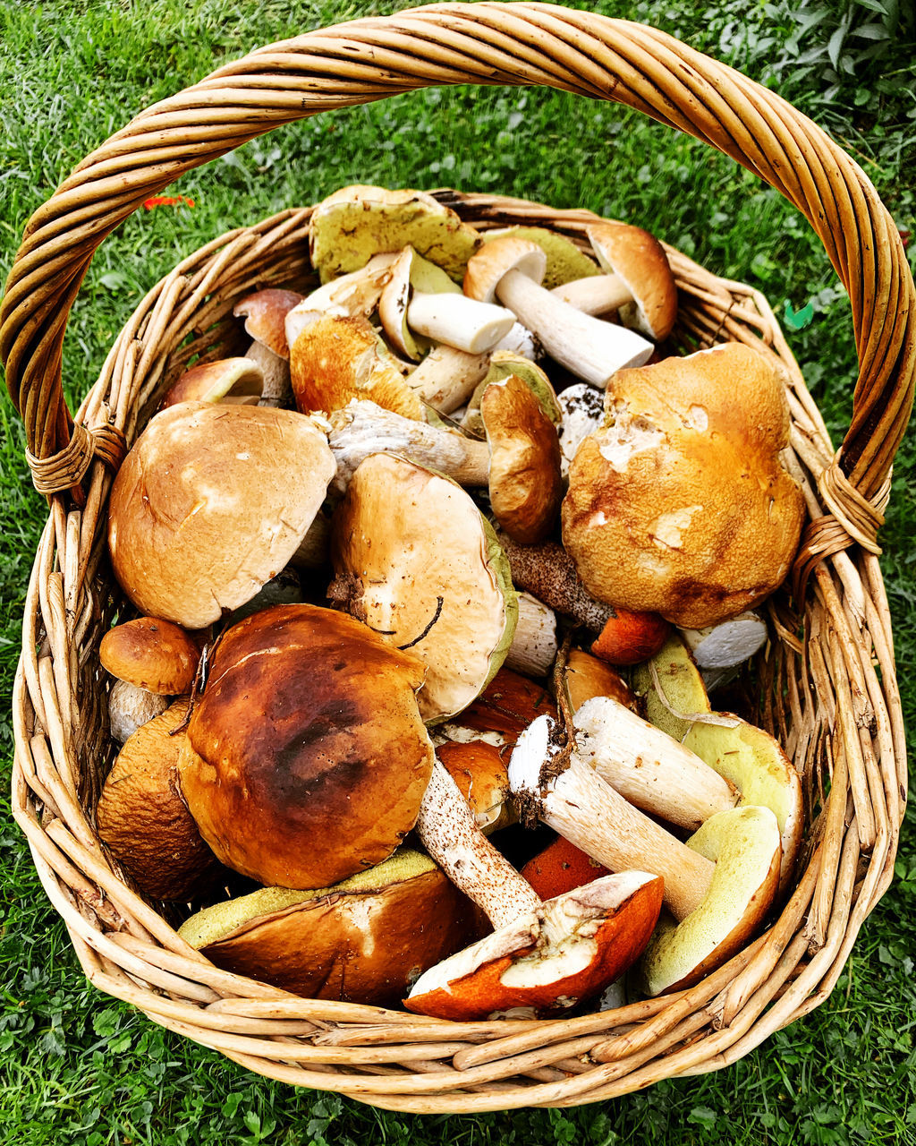 HIGH ANGLE VIEW OF MUSHROOMS ON BASKET