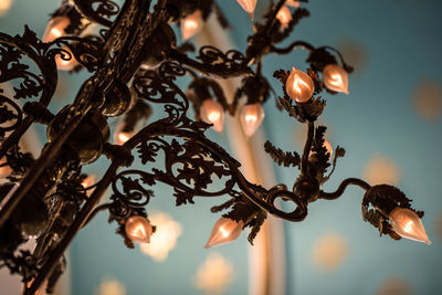 Low angle view of illuminated chandelier hanging from ceiling