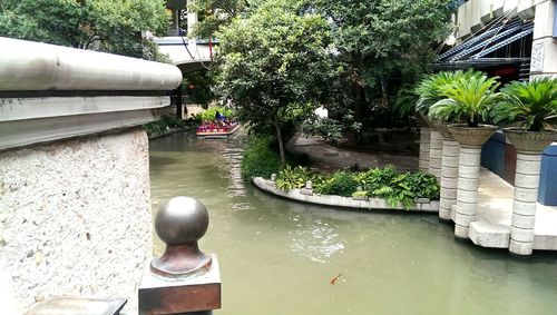 View of plants in front of building