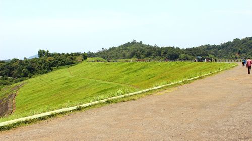 Scenic view of agricultural field against clear sky