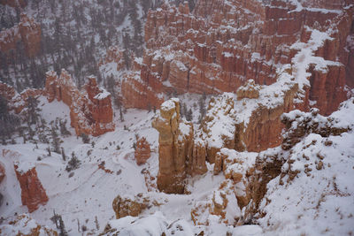 Snow covered trees on mountain