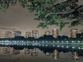 Illuminated buildings by trees against sky at night