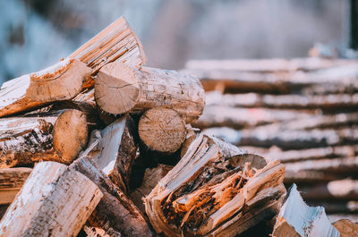 Close-up of stack of logs