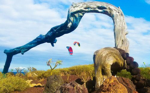 Low angle view of elephant against sky