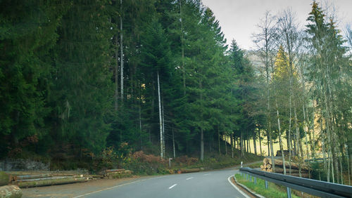 Road amidst trees in forest