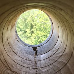 Close-up of hole in tree