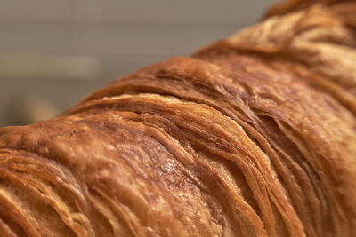 Close-up of bread in store