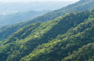 High angle view of trees and mountains