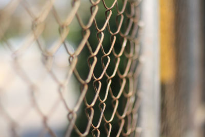 Close-up of chainlink fence