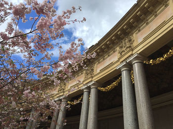 Low angle view of flowers against sky