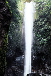 View of waterfall in forest