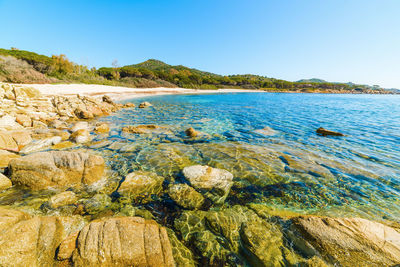 Scenic view of sea against clear blue sky