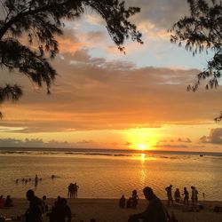 Scenic view of beach during sunset