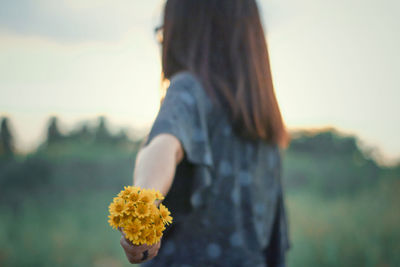 Close-up of yellow flower on field