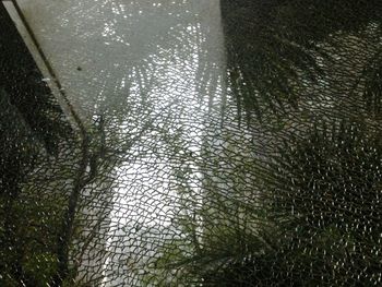 High angle view of grass in city