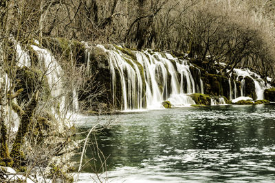 Close-up of waterfall against trees