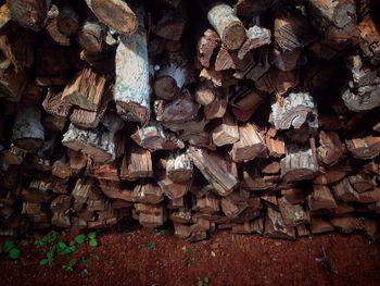 High angle view of logs