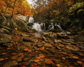 Stream flowing through rocks in forest during autumn