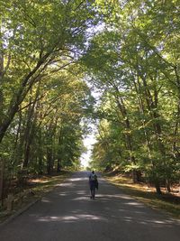 Rear view of man walking on road amidst trees