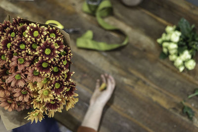 High angle view of flowering plant