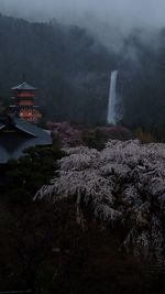 View of temple against trees