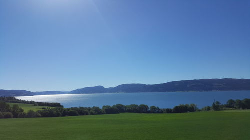 Scenic view of landscape against clear blue sky