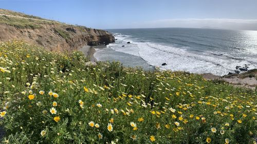 Scenic view of sea against sky