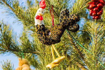 Close-up of bird on tree