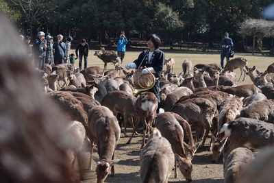 large group of people