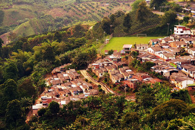 High angle view of houses by trees in village