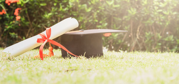 Close-up of mortarboard and diploma on grassy field
