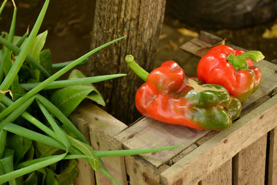 High angle view of tomatoes on wood