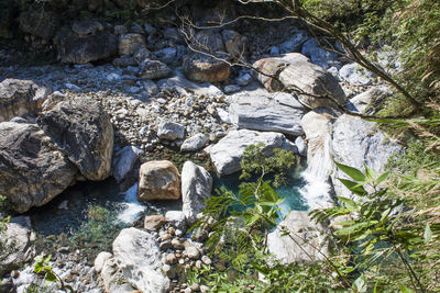 Stream flowing through rocks in forest