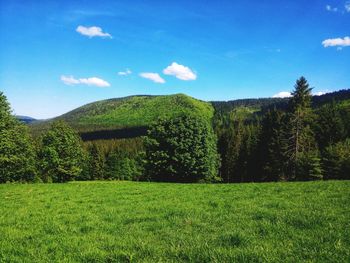 Scenic view of grassy field against sky
