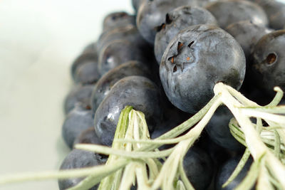 Close-up of fresh vegetables