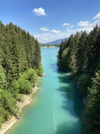 Scenic view of river amidst trees against sky