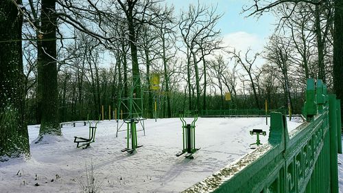 Trees in park