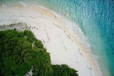 Drone field of view of sea, sand and beach curieuse island, seychelles.