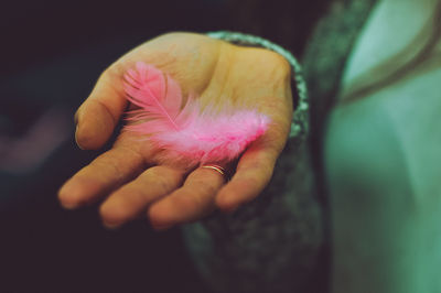 Close-up of woman holding pink feather
