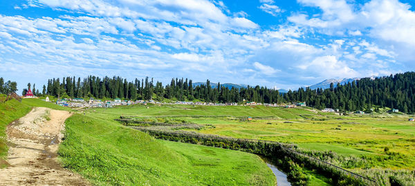 landscape