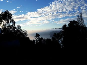 Scenic view of trees against sky