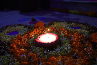 Close-up of illuminated lantern on plant at night