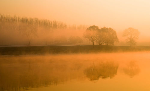 Reflection of trees in lake during sunset