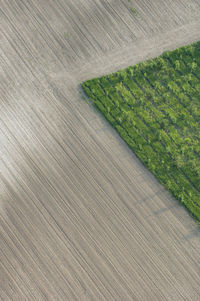 Aerial view of vineyard