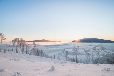 Fabulous winter scenery with a view of the sea of clouds illuminated by the sun in the morning