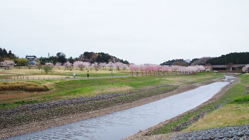 Scenic view of landscape against clear sky